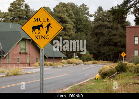 Grand Canyon National Park, Arizona - ein Schild warnt der Maultiere beim Überqueren der Straße. Stockfoto