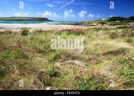 Blick vom Trebetherick in Richtung der Camel-Mündung und Stepper Point in der Nähe von Padstow, Cornwall. Stockfoto