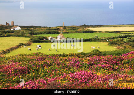 Anzeigen der Norden Cornwalls Küste in St. Agnes von St Agnes Beacon, in Richtung Ruine Zinn mir Gebäude bei Wheal Coates. Stockfoto