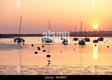 Bei Sonnenuntergang Blick vom Strandhütten am Mudeford von Christchurch Harbour in der Nähe von Poole, Dorset, England, Europa. Die Hütten sind sehr teuer Eigenschaften, die selten auf den Markt kommen. Im März 2012 als Foto, Hütte Nummer 246 auf Verkauf für £145.000 war. Das Anwesen wurde von Immobilienbüro Denisons vermarktet und war teurer als ein Nachbargrundstück, die für £126.000 verkauft, wie Hütte 246 verfügt über ein Zwischengeschoss Schlafbereich. Foto Stockfoto