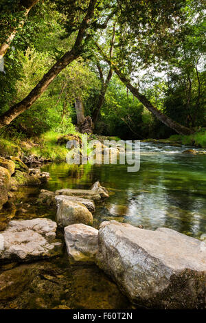 Felsen und den Kristall klaren Wasser des Flusses Ceou Dordogne Frankreich Stockfoto