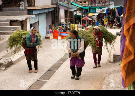 Indien, Himachal Pradesh, Spiti, Kaza, Neustadt Basar, Frauen mit Tierfutter auf Rücken durch Markt Stockfoto