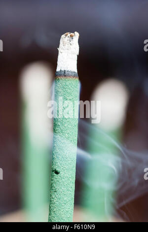 Japan. In der Nähe von Grün Räucherstäbchen Schwelbrand. Stapel von graue Asche auf die Oberseite, schwarzer Ring, wo es qualmt, und Grün stick. Rauchfähnchen. Stockfoto