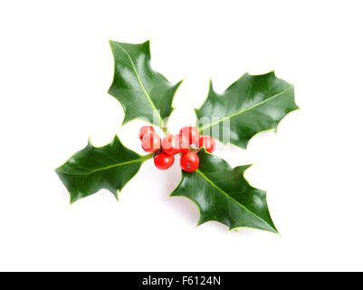 Weihnachten Urlaub Holly Dekoration Stockfoto