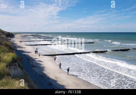 Hohen Ufer, Buhnen in Ahrenshoop, Fischland, Fischland-Zingst, Ostsee, Mecklenburg-Western Pomerania, Deutschland Stockfoto