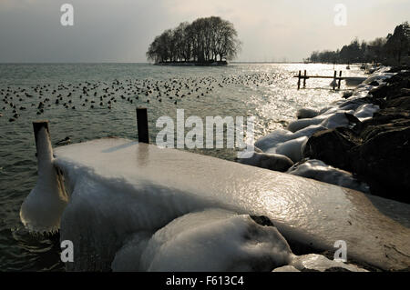 Eisige Pier und Enten während der Februar 2012 europäischen Kältewelle in Rolle, Genfer See, Kanton Waadt, Schweiz Stockfoto