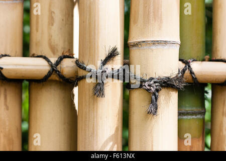 Japan, Kyoto, Shosei-en Garten. Detail von der Oberseite des Bambus Zaun  mit schwarzen String um senkrechte und horizontale Bambus Stangen gewickelt  Stockfotografie - Alamy