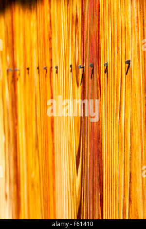 Japan, Kyoto, Gion. Textur. Detail der traditionellen hölzernen Zaun mit Nägeln ragt über die holzbretter in hellem Sonnenlicht. Stockfoto
