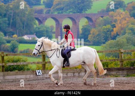 Frau Reiter üben Dressur im Fahrerlager. Trocken Sie im Hintergrund Beck Viadukt, Armathwaite, Eden Valley, Cumbria, England, UK. Stockfoto