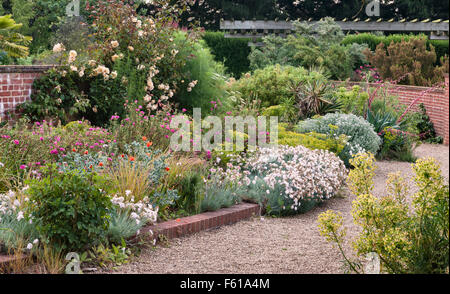 Osten Ruston alte Pfarrhaus Gärten, Norwich, Norfolk, Großbritannien. Der mediterrane Garten im Sommer Stockfoto