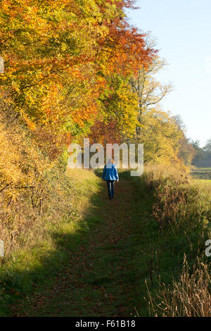 Eine Frau zu Fuß auf den Pfad der Icknield Way, Woodditton, Cambridgeshire East Anglia UK Stockfoto