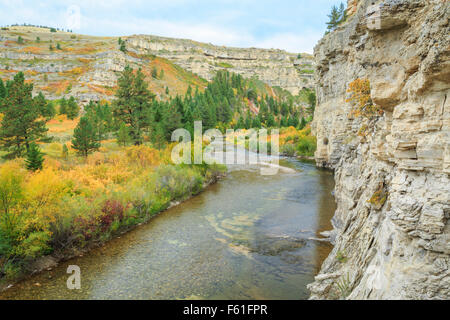 Gürtel-Bach in Schleuse Boxen State Park im Herbst in der Nähe von Monarch, montana Stockfoto