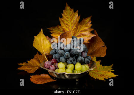 Blaue, rote und gelbe Trauben und Blätter im Herbst Stockfoto