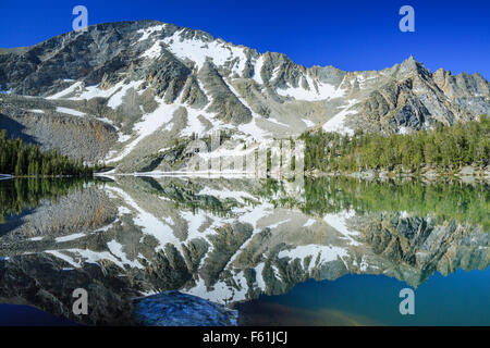 Torrey Berg spiegelt sich in Torrey See in den Pionieren Bergen in der Nähe von Elkhorn Thermalquellen, montana Stockfoto