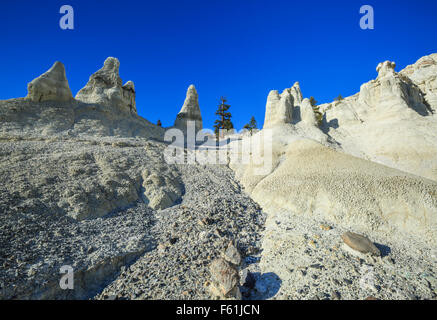 erodierte Zinnen der Vulkanasche und tertiären Sedimenten im Bereich "weiße Erde" in der Nähe von Winston, montana Stockfoto