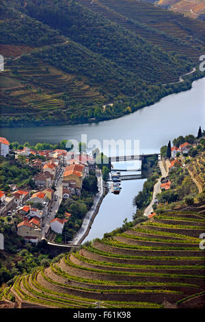 Pinhao Stadt und Fluss Douro, im Herzen des Alto Douro Wein-Region (UNESCO-Weltkulturerbe,), Porto e Norte, Portugal Stockfoto