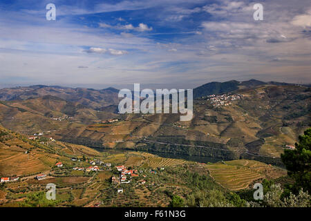 Weinberge im Douro-Tal im Herzen des Alto Douro Wein-Region (UNESCO-Weltkulturerbe,), Porto e Norte, Portugal Stockfoto