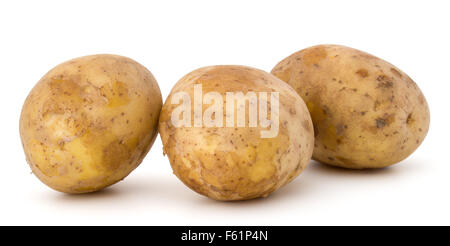 neue Kartoffelknolle isoliert auf weißem Hintergrund Ausschnitt Stockfoto