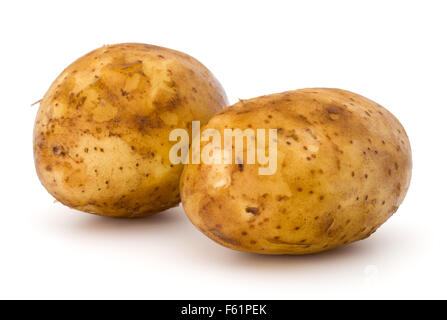 neue Kartoffelknolle isoliert auf weißem Hintergrund Ausschnitt Stockfoto