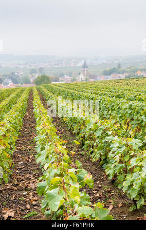 Ein Landschaftsbild des Dorfes von Ville Dommange über Weinberge im Herzen der Champagne Anbaugebiet Frankreich im Herbst Stockfoto