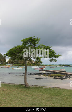 Boote am Meer Mauritius Stockfoto