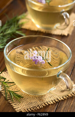 Frisch zubereitete Rosmarin Kräutertee in Tassen aus Glas, garniert mit Rosmarin-Blumen Stockfoto