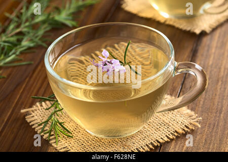 Frisch zubereitete Rosmarin Kräutertee in Glasschale, garniert mit Rosmarin Blume, fotografiert auf dunklem Holz mit natürlichem Licht Stockfoto