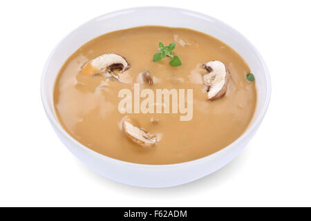 Pilzsuppe mit Pilzen in Schüssel auf einem weißen Hintergrund isoliert Stockfoto