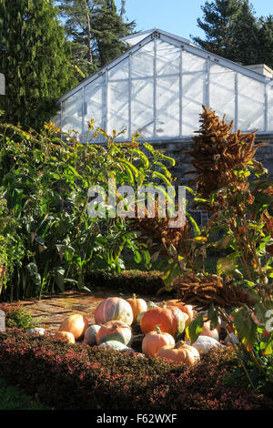 Marco Polo Stufano Konservatorium in Wave Hill öffentlichen Garten in der Bronx, New York, USA Stockfoto