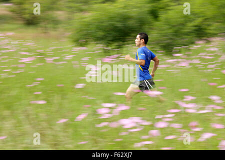 Männliche Trailläufer läuft durch ein Feld von Kosmos Wildblumen im Parque Ecologico von Morelia, Michoacan, Mexiko. Stockfoto