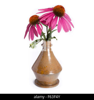 Echinacea in Vintage Vase isoliert auf weißem Hintergrund Stockfoto