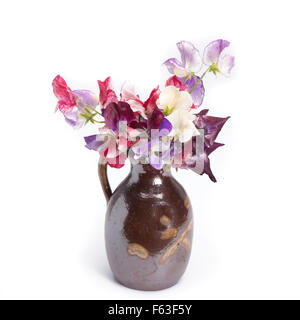 Platterbse in Vintage Vase isoliert auf weißem Hintergrund Stockfoto