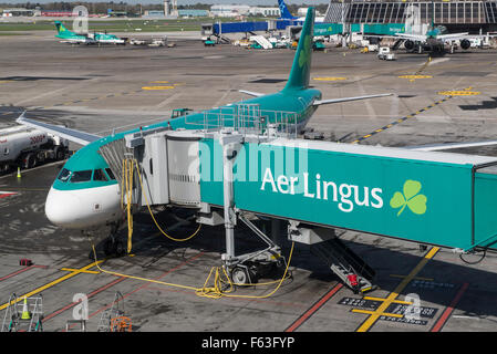 Aer Lingus Airbus A320-214 mit Registrierung EI-Höhle am Flughafen Dublin Stockfoto