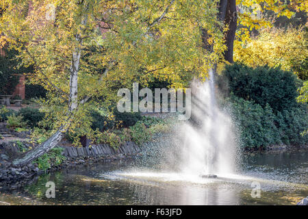 Botanische Gärten in Herbstfarben Wroclaw Stockfoto