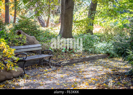 Botanische Gärten in Herbstfarben Wroclaw Stockfoto