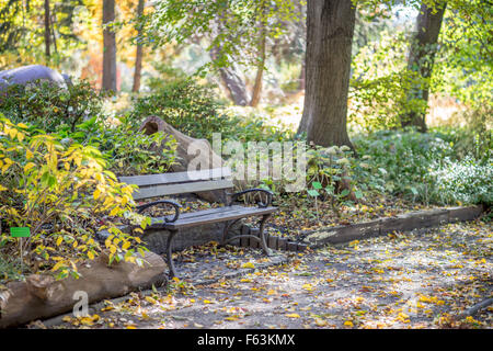 Botanische Gärten in Herbstfarben Wroclaw Stockfoto