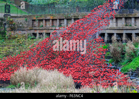 Wakefield, West Yorkshire, Großbritannien 16. Oktober 2015: rote Keramik Mohnblumen "Wave" Ausstellung des Tower of London Mohn Stockfoto