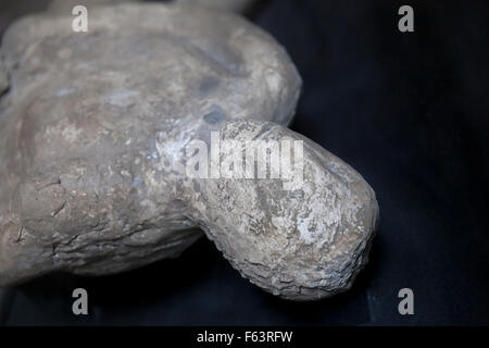 Gipsabdruck von Opfer des Vulkanausbruchs Pompeji auf dem Display an Villa dei Misteri, Villa der Mysterien, Pompeji, Italien Stockfoto