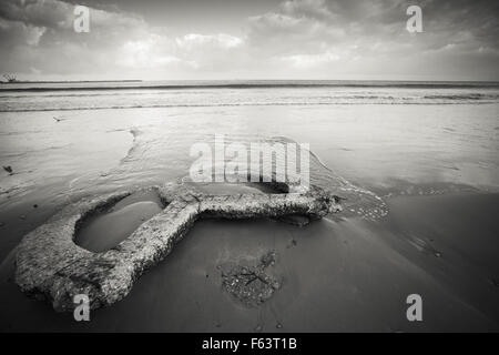 Atlantik Küste legt alten gebrochenen Betonbau auf nassen Sand, Tanger, Marokko. Monochrome getönten Foto Stockfoto