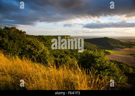 Roulston Narbe und Hood Hügel in der Nähe von Sutton Bank, North York Moors National Park Stockfoto