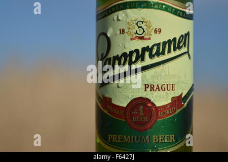 Wassertropfen auf die Flaschenbier Hintergründe und blauer Himmel Stockfoto