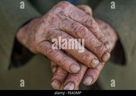 Hand eines älteren Mannes hält einen Stock Stockfoto