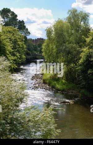 Der Fluss Kelvin durchzogen Kelvingrove Park in Glasgow im Sommer Stockfoto