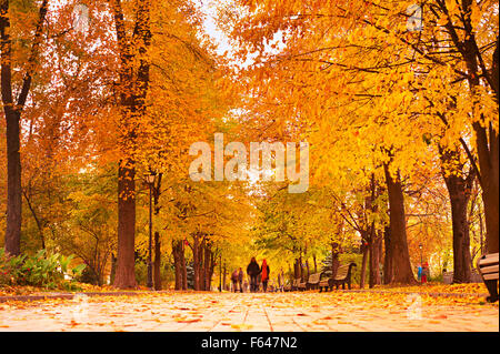 Paare, die zu Fuß in einem bunten Herbst Park bei Sonnenuntergang Stockfoto