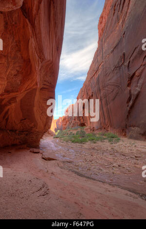 Buckskin Gulch verengt Wüste Slotcanyon im Süden Utahs. Stockfoto