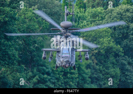 AgustaWestland Apache AH-64D Apache Longbow Kanonenschiff-Angriffshubschrauber der britischen Armee, fliegen über Bäumen. Tief unten. Militärpanzer Stockfoto