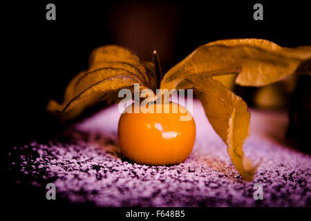 Kleine gelb orange Tomate mit Niederlassung im Schnee. Stockfoto