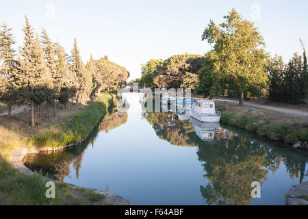 Platanen entlang des Canal De La Robine leuchtet im Abendrot Sonne Süden, Frankreich, Küste, Urlaub, Sommer. Zweig der Canal du Midi. Stockfoto