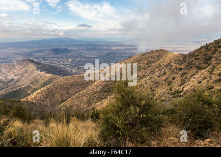 Regen und Graupel fällt über den Huachuca Mountains, Miller Peak Wilderness, Arizona Stockfoto