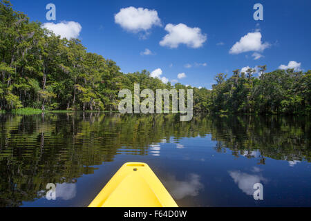 Fischfressende Creek im Sommer mit Kajak, Florida, USA. Stockfoto